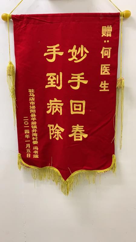 駐馬店市泌陽(yáng)縣羊冊(cè)鎮(zhèn)井灣村委 馮書(shū)運(yùn)贈(zèng)錦旗